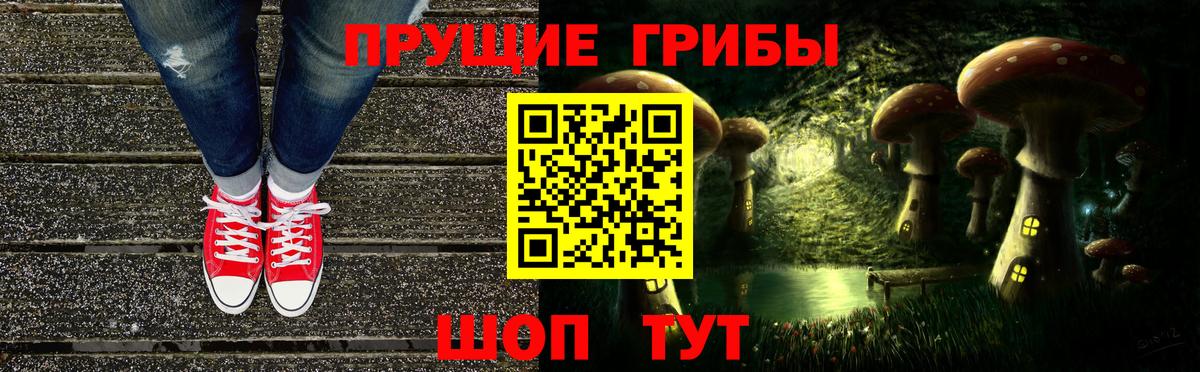 Псилоцибиновые грибы Psilocybine cubensis Можайск