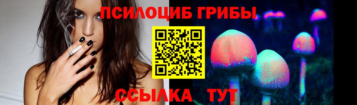 Псилоцибиновые грибы Cubensis  Вход с VPN  Галлюциногенные грибы Cubensis  Можайск 